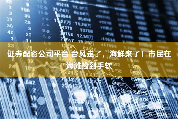 证券配资公司平台 台风走了，海鲜来了！市民在海滩捡到手软