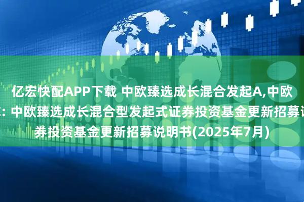 亿宏快配APP下载 中欧臻选成长混合发起A,中欧臻选成长混合发起C: 中欧臻选成长混合型发起式证券投资基金更新招募说明书(2025年7月)