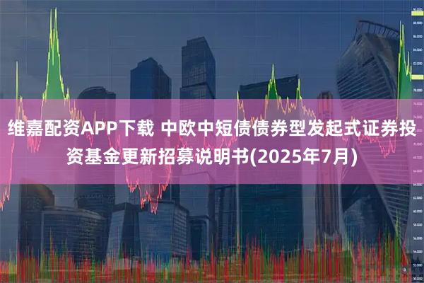 维嘉配资APP下载 中欧中短债债券型发起式证券投资基金更新招募说明书(2025年7月)