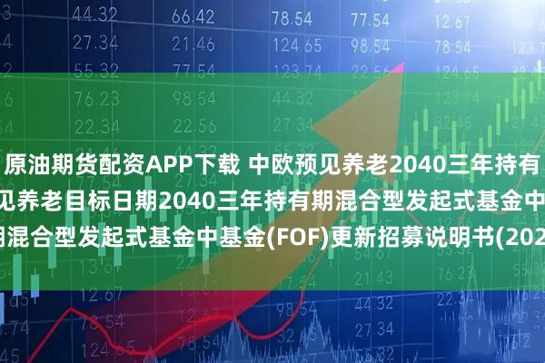 原油期货配资APP下载 中欧预见养老2040三年持有混合发起(FOF): 中欧预见养老目标日期2040三年持有期混合型发起式基金中基金(FOF)更新招募说明书(2025年7月)
