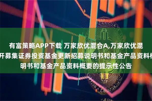 有富策略APP下载 万家欣优混合A,万家欣优混合C: 关于旗下公开募集证券投资基金更新招募说明书和基金产品资料概要的提示性公告