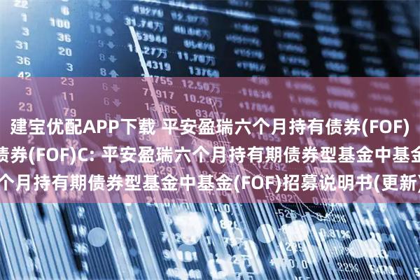 建宝优配APP下载 平安盈瑞六个月持有债券(FOF)A,平安盈瑞六个月持有债券(FOF)C: 平安盈瑞六个月持有期债券型基金中基金(FOF)招募说明书(更新)