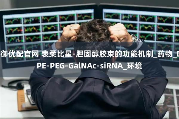 大御优配官网 表柔比星-胆固醇胶束的功能机制_药物_DSPE-PEG-GalNAc-siRNA_环境