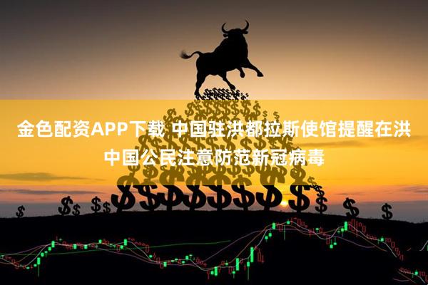 金色配资APP下载 中国驻洪都拉斯使馆提醒在洪中国公民注意防范新冠病毒