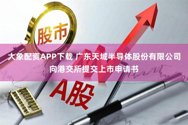 大象配资APP下载 广东天域半导体股份有限公司向港交所提交上市申请书