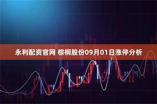 永利配资官网 棕榈股份09月01日涨停分析