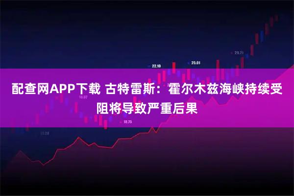 配查网APP下载 古特雷斯：霍尔木兹海峡持续受阻将导致严重后果